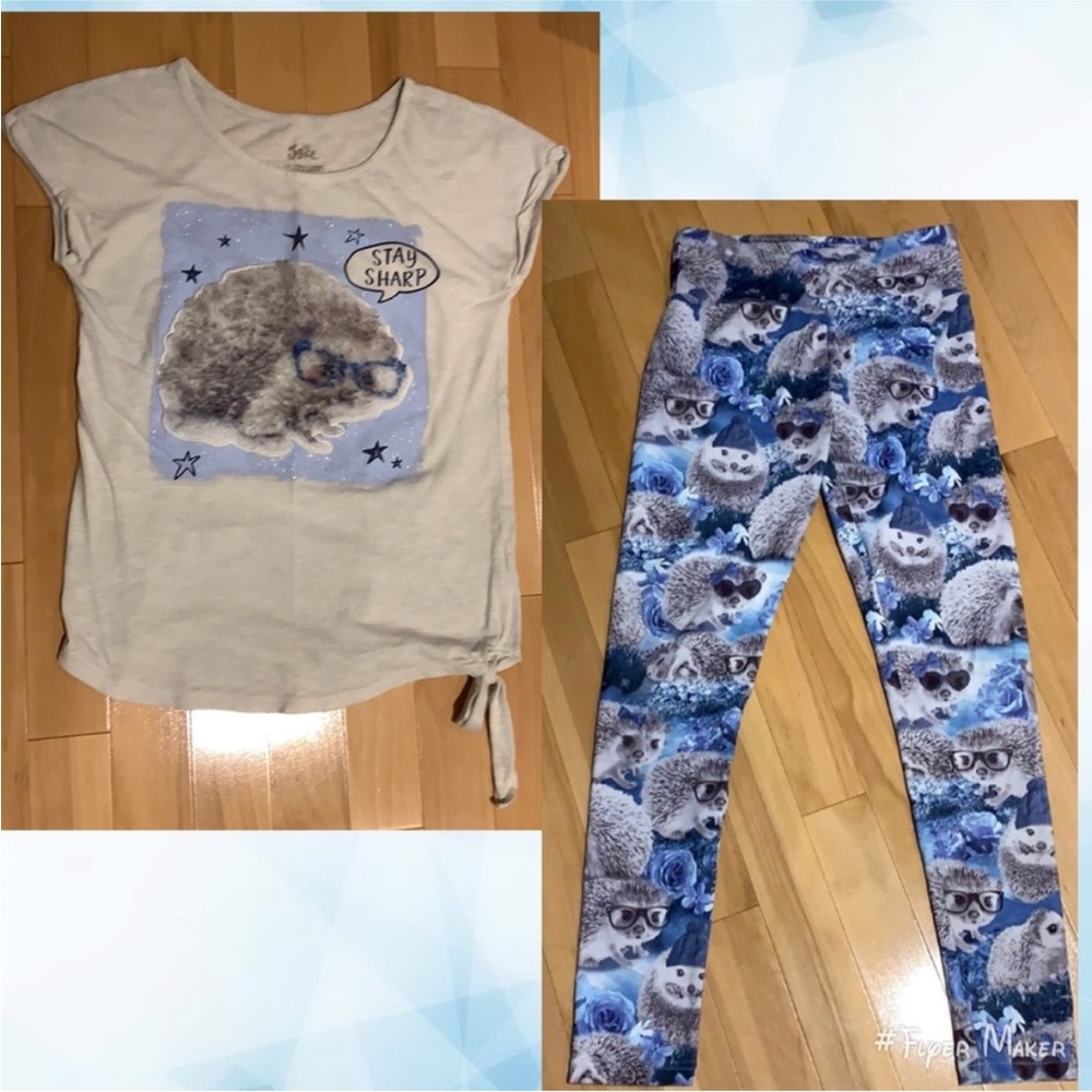 Justice Hedgehog Graphic Short Sleeve Tee (size 12) & Leggings (size 14/16) Set